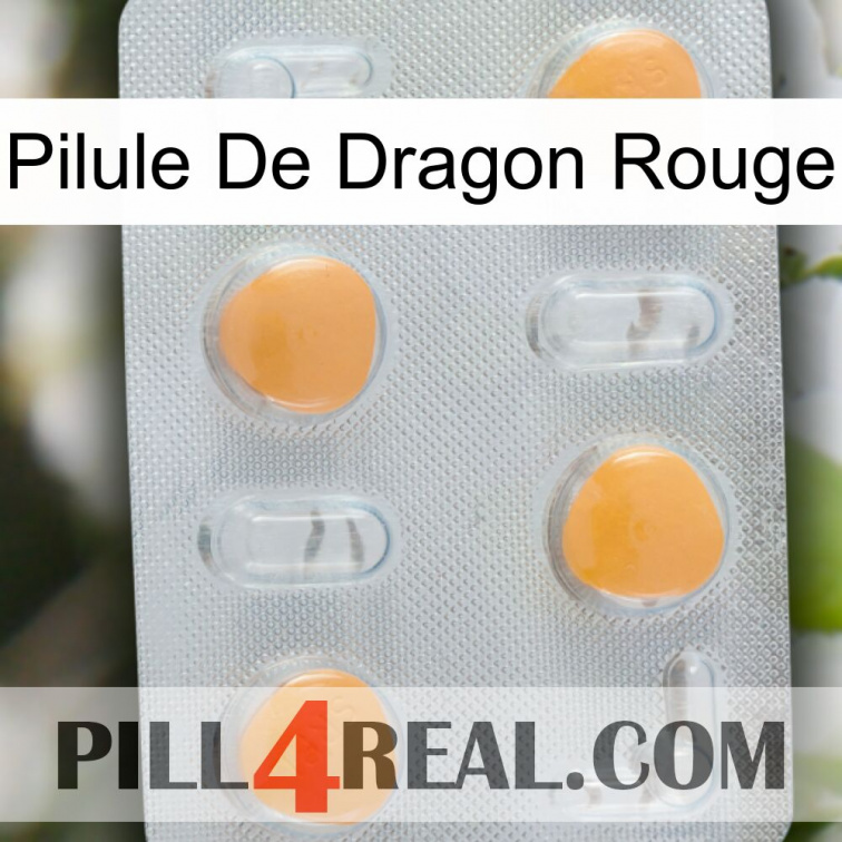 Red Dragon Pill 24